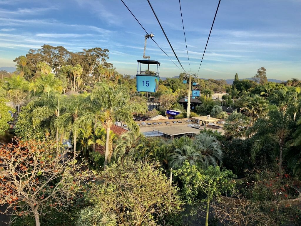 San Diego Zoo Cable Car from a Gondola overlooking the San Diego Zoo