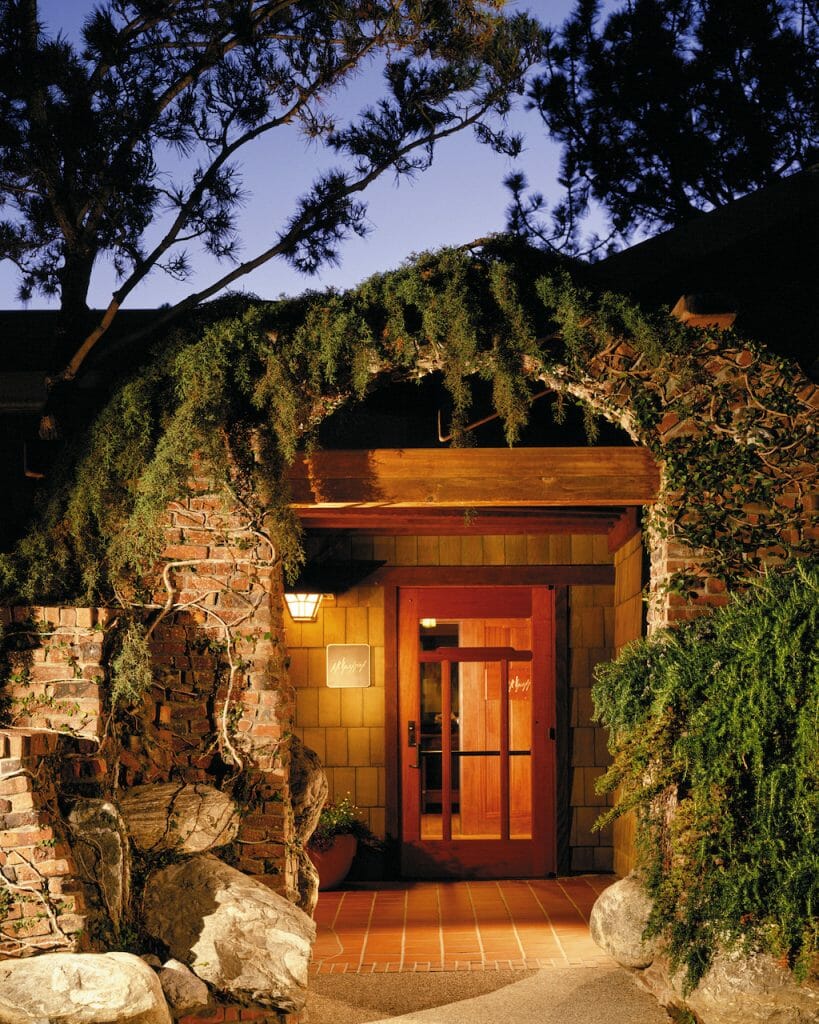 A hobbit house looking entrance with a warm light glowing from it, vines overhead
