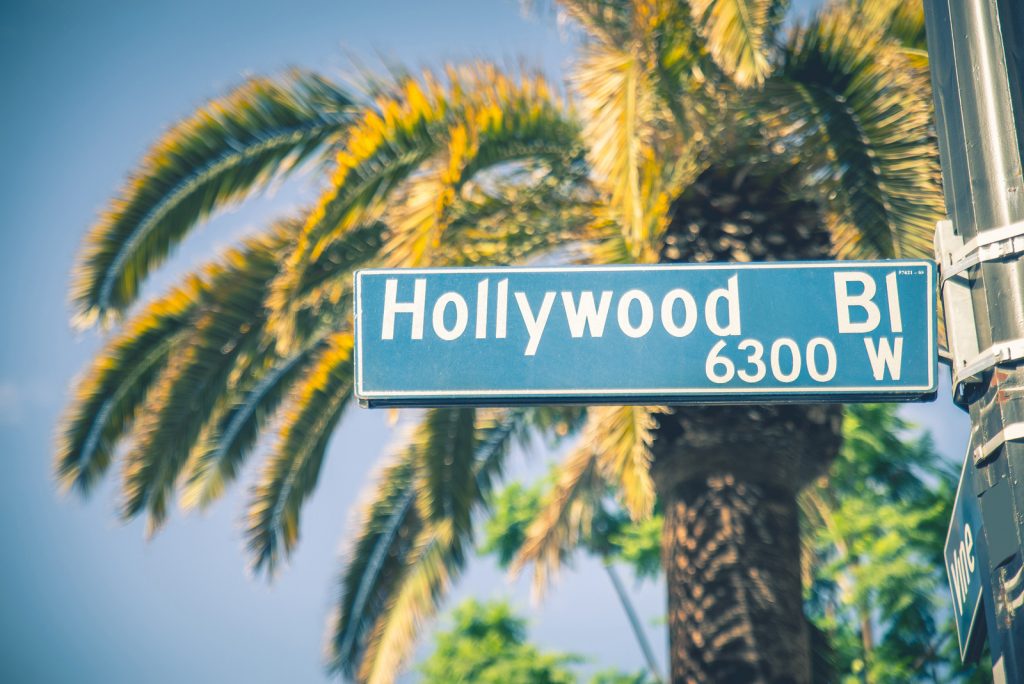 Street sign Hollywood BL in front of Palm Tree and blue sky