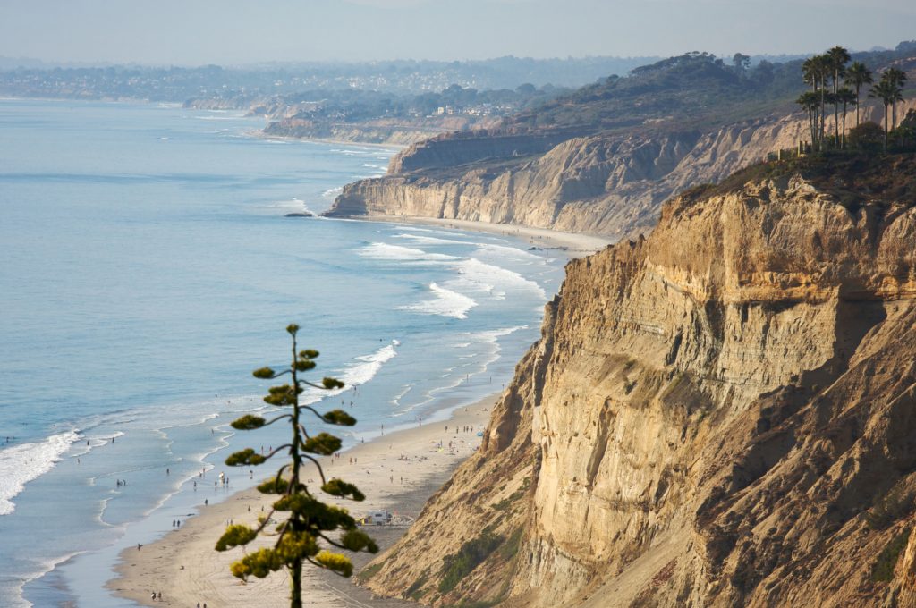 View from Torrey Pines State Park over the La Jolla coast line, cliffs with famous torrey pines.