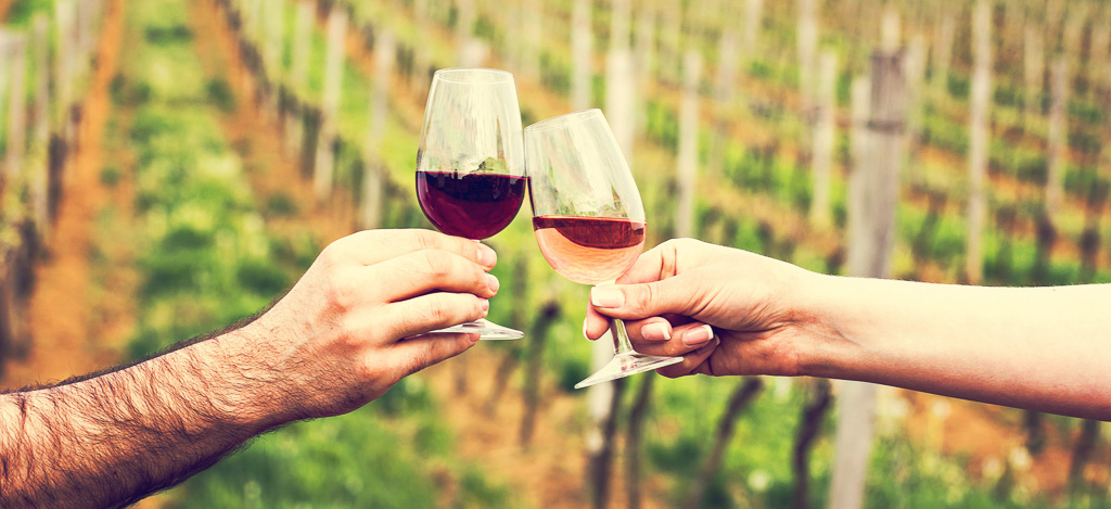 A man and a woman check with glasses of wine. Glasses with red wine in the female and male hands. Clinking glasses of red wine in hands wine tasting, vineyards.