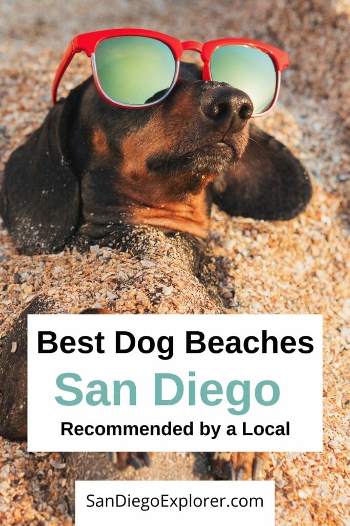 Taking your dog to the beach soon? In San Diego, you have quite a few choices. So here are my recommendations for the best San Diego Dog Beaches so you can pick the best one for you and your pup. Dog friendly things to do in San Diego - San Diego Dog Beach - San Diego Beaches - San Diego pet friendly - San Diego Things To do - San Diego with pets - Beaches San Diego - San Diego Itinerary