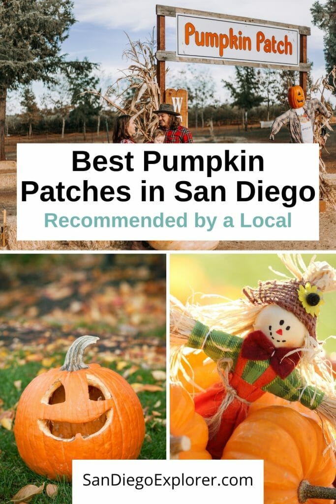 Are you ready for fall? Here are the best San Diego Pumpkin Patches that will put you in the fall spirit. Take a look at these fun pumpkin farms in San Diego county and all the fun activities they offer. From hayrides to pumpkin carving, corn mazes and apple cannons, a trip to a pumpkin patch in San Diego is fun for the whole family. San Diego with kids - San Diego pumpkin patch - San Diego fall activities - San Diego October - San Diego Things to do - San Diego itinerary - San Diego travel tips