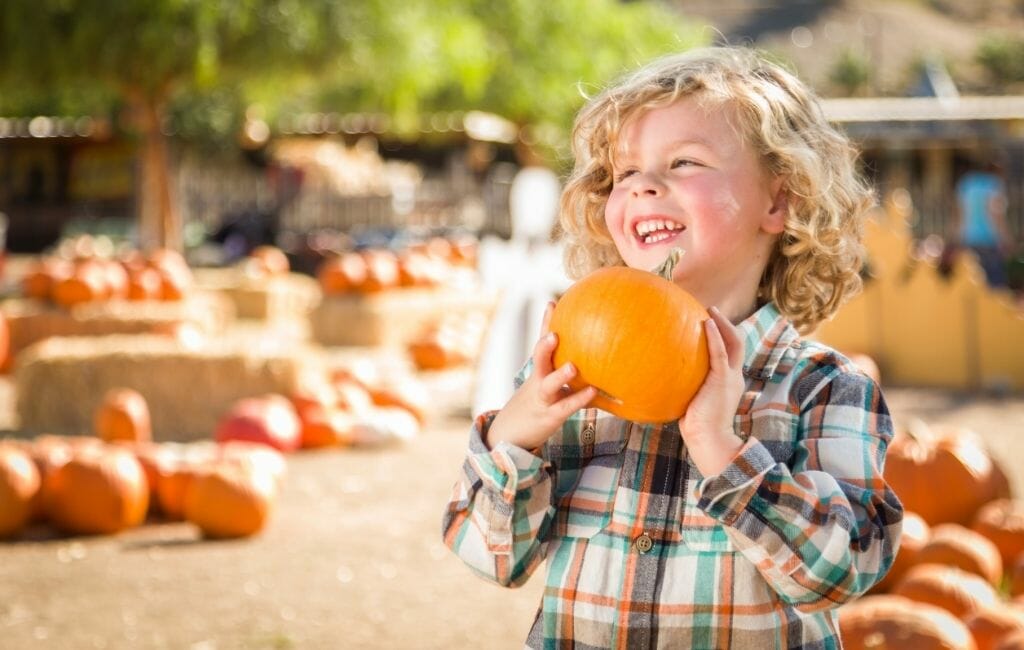 Little blond by holding  pumpkin in the front with pumpkin patch in the background