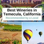 10 amazing Temecula Wineries you MUST visit if you are a Wine Lover - Temecula Wine Tasting - Best Wineries in Temecula, California - Temecula Wineries - Things to do in Temecula - Wine Tasting Southern California - Best Wineries California - Visit California - Southern California Road Trip - San Diego Wine Tasting - San Diego Things To Do - San Diego Wine Tours - San Diego Wine Tasting Tours - Temecula Wine Tasting Tours