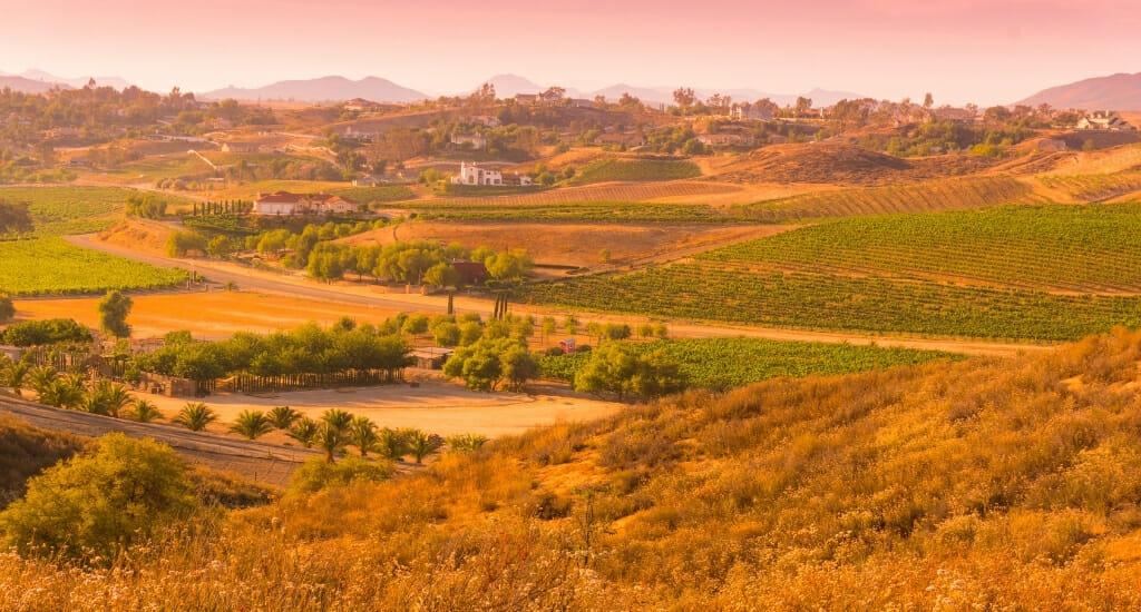 Landscape photo of Temecula valley with vineyards and wineries - photo has an orange tinge and light pink sky.