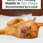 Traveling with your pet to San Diego? Whether you are looking for a pet-friendly hotel near the beach or right in the heart of downtown, we got you covered. Here are the best pet-friendly hotels in San Diego - from budget to luxury. San Diego pets - San Diego pet friendly - San Diego dog friendly - dog friendly hotels San Diego - San Diego hotels - San Diego dogs - Travel With Pets - San Diego Beach Resorts - San Diego Travel Tips - Pet Travel - Visit San Diego