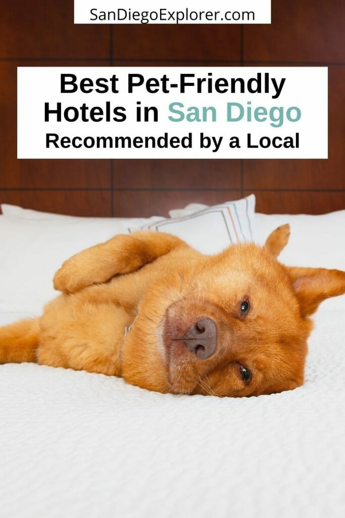 Traveling with your pet to San Diego? Whether you are looking for a pet-friendly hotel near the beach or right in the heart of downtown, we got you covered. Here are the best pet-friendly hotels in San Diego - from budget to luxury. San Diego pets - San Diego pet friendly - San Diego dog friendly - dog friendly hotels San Diego - San Diego hotels - San Diego dogs - Travel With Pets - San Diego Beach Resorts - San Diego Travel Tips - Pet Travel - Visit San Diego