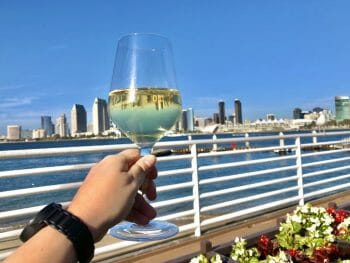 hand holding a wine glass with white wine with a white reeling and behind it the San Diego bay and the San Diego skyline