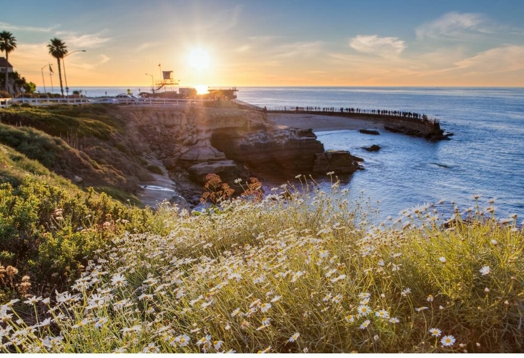 Local's Guide: 30 Day Trips for Unforgettable Experiences From San Diego - Exploring the Hidden Gems of La Jolla Cove