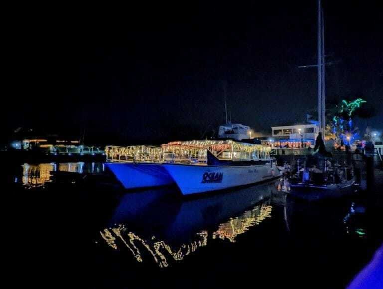 Dana Point Harbor Christmas Lights, Boat Parade & Holiday Fun