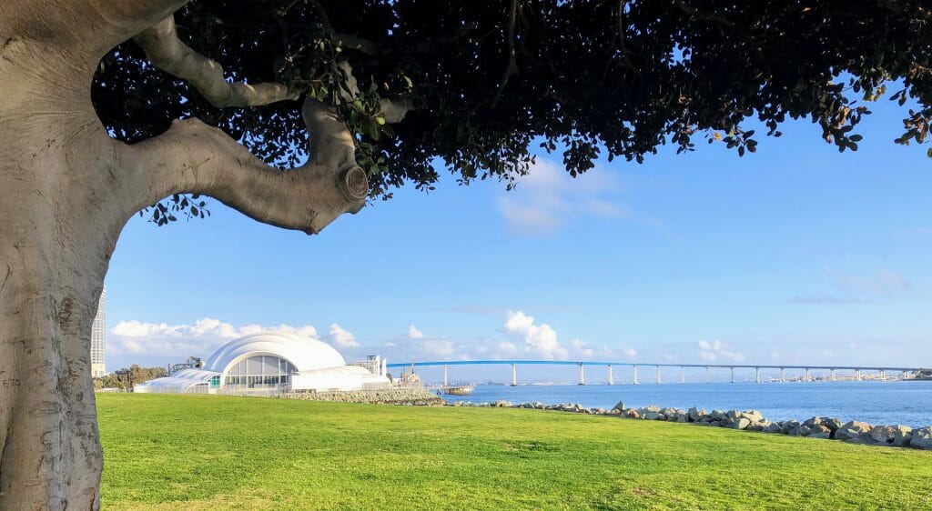 White shell-shaped concert hall on the embarcadero in San Diego Bay with the Coronado Bay Bridge in the Background and a grassy area with tree in the foregound- The Rady Shell Symphony San Diego