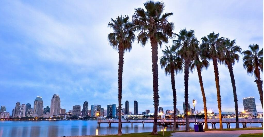 Foreground: Palm trees, beech, and San Diego Bay - Background - San Diego skyline with skyscrapers