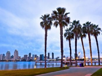 Foreground: Palm trees, beech, and San Diego Bay - Background - San Diego skyline with skyscrapers