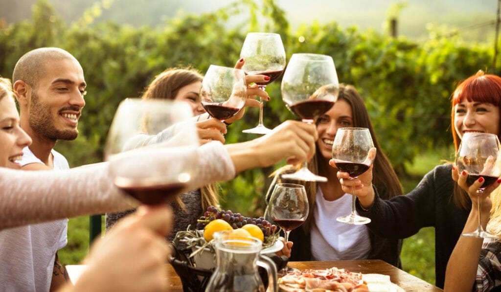 group of people drinking wine in a vineyard during sunset