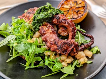 grilled octopus with arugula and white beans