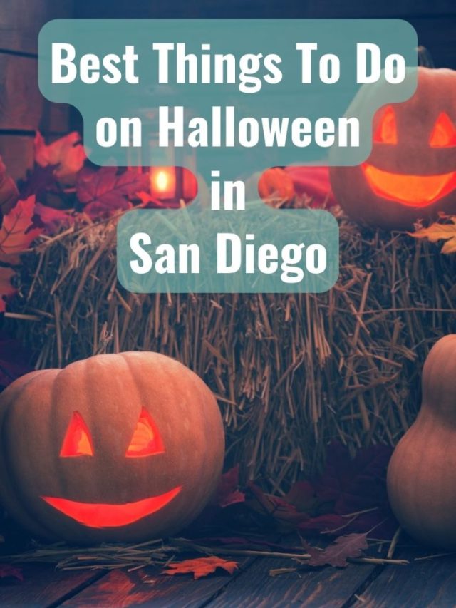 Halloween in San Diego San Diego Explorer