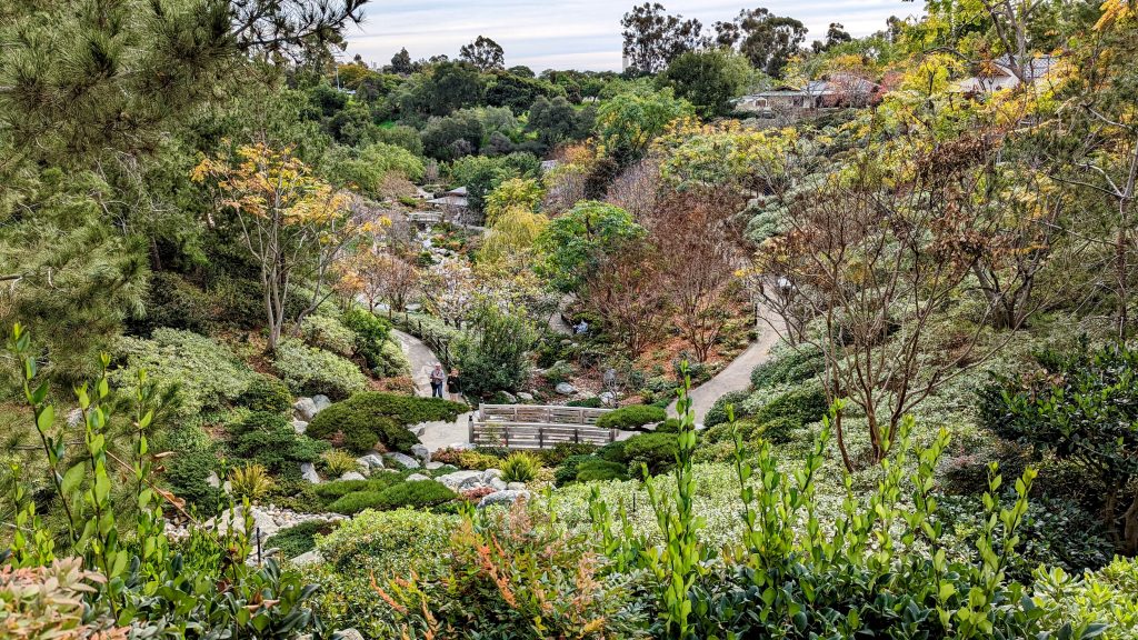 View over the Japanese Friendship Garden in San Diego Balboa Park 