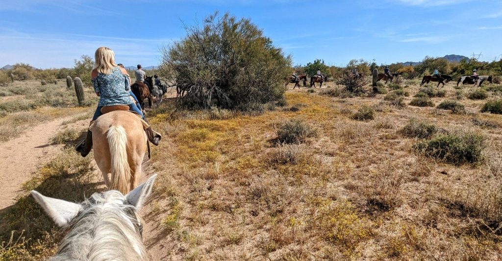 Line of horses riding through Sonoran Desert near Scottsdale