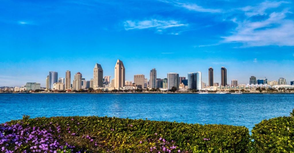 San Diego skyline in background with San Diego Bay and purple flowers in foreground on sunny day. May in San Diego.