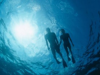 Silhouette of male and female snorkeling in dark water with sun shining through surface. snorkeling san diego.