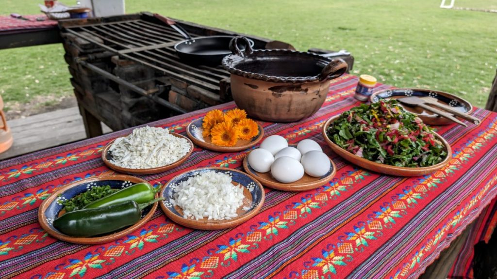 lunch spread at an organic farm at Xochimilco