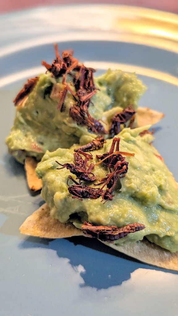 tortilla chip with guacamole and fried grasshopper