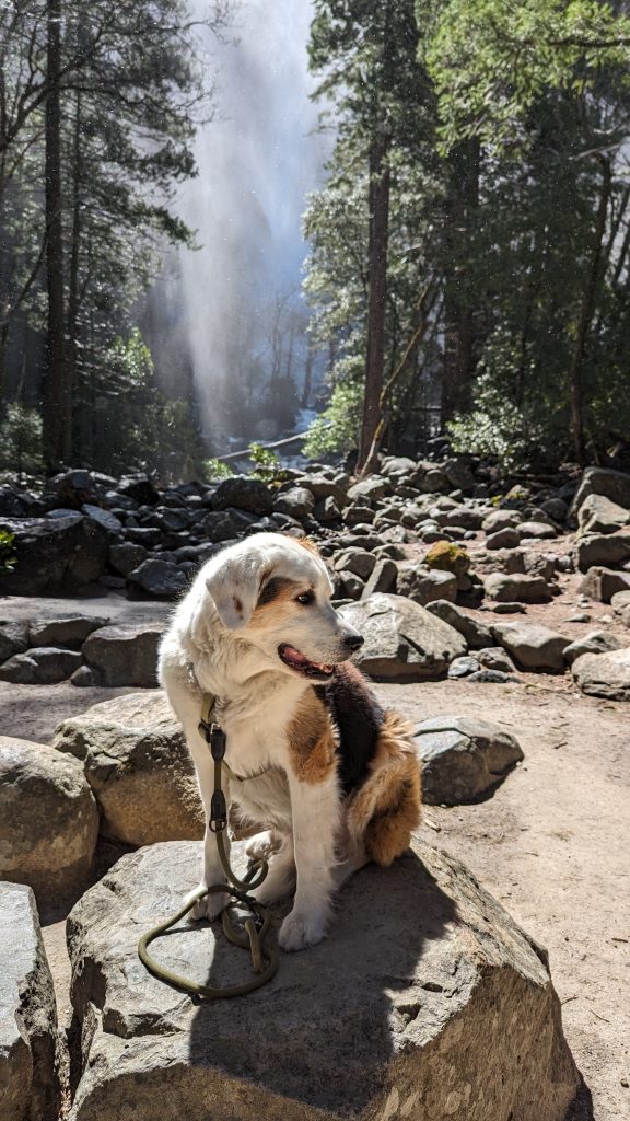 Robby in front of Bridalveil Falls in Yosemite National Park